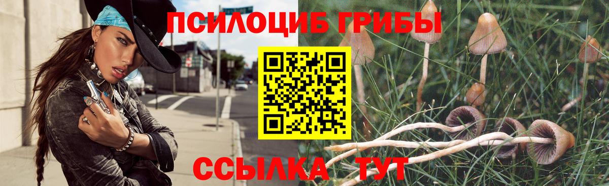 Псилоцибиновые грибы прущие грибы  Вход с VPN  Каспийск 