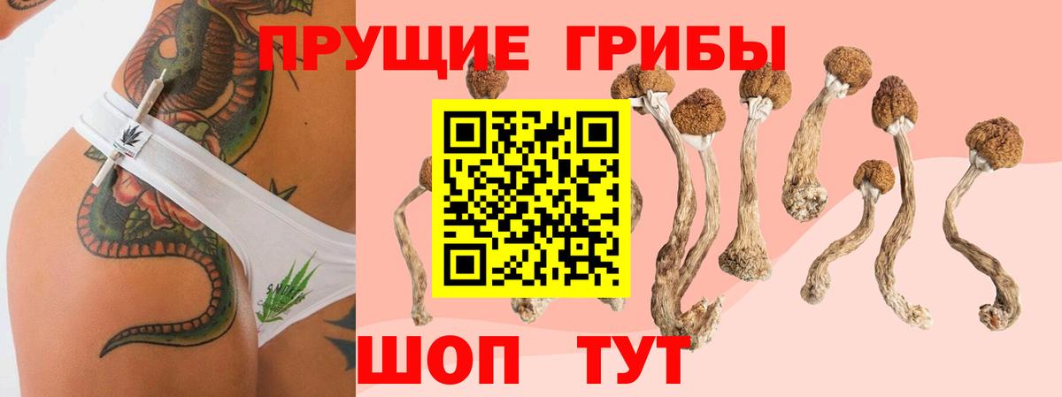 Галлюциногенные грибы прущие грибы Каспийск